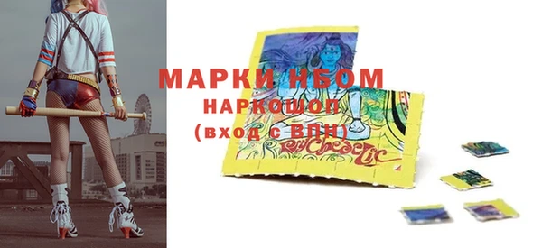 хмурый Алексин