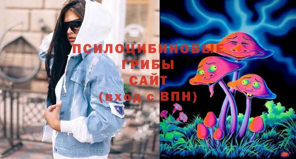 хмурый Алексин