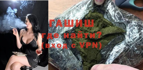 хмурый Алексин