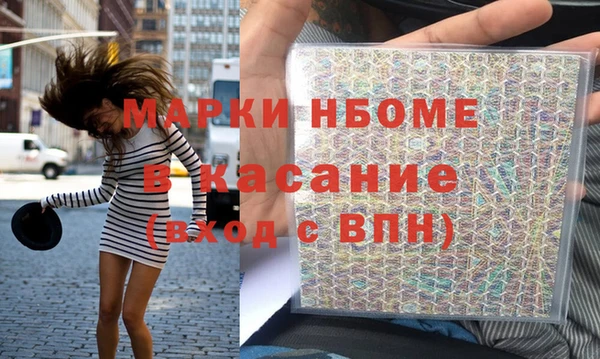 хмурый Алексин