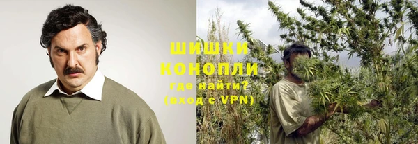 прущие грибы Слюдянка