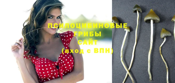 хмурый Алексин