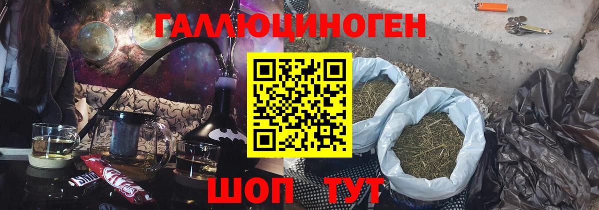 Мыски  Псилоцибиновые грибы MAGIC MUSHROOMS  Вход с VPN 