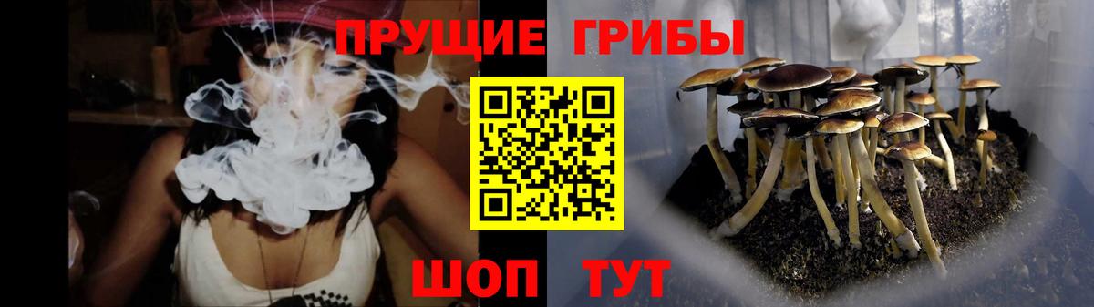 Псилоцибиновые грибы прущие грибы Мыски