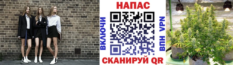 наркота Мыски Шишки марихуана Amnesia